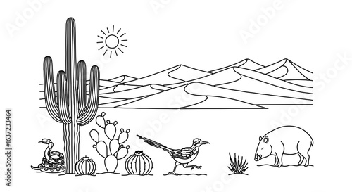 Desert landscape illustration with cactus roadrunner snake and mountains vector drawing for design projects