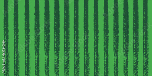 Watermelon skin striped seamless pattern. Watermelon peel background
