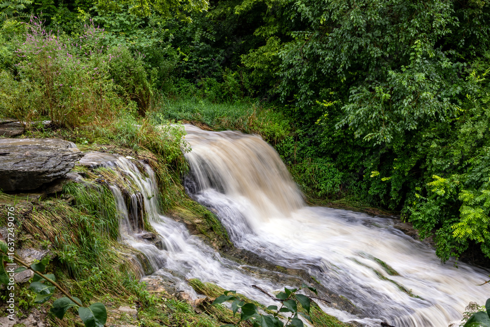 Naklejka premium waterfall in the forest