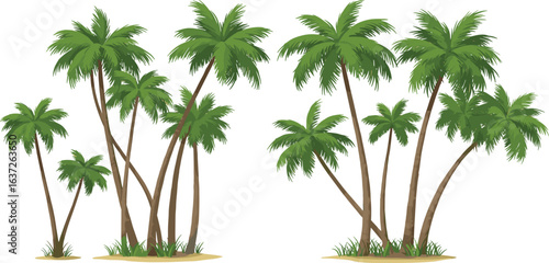 Tropical palm trees illustration, summer beach scenery, exotic island nature background, lush green coconut palms, paradise landscape vector art
