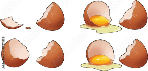 Isolated eggshell fragments arranged in a visually striking cartoon style composition