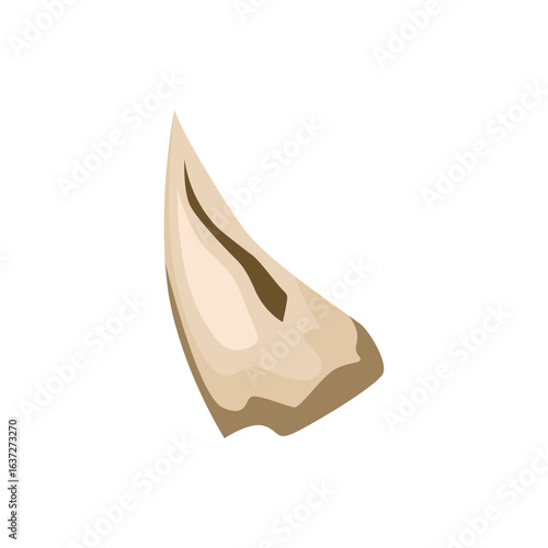 Vector illustration of a sharp prehistoric animal fang or tusk