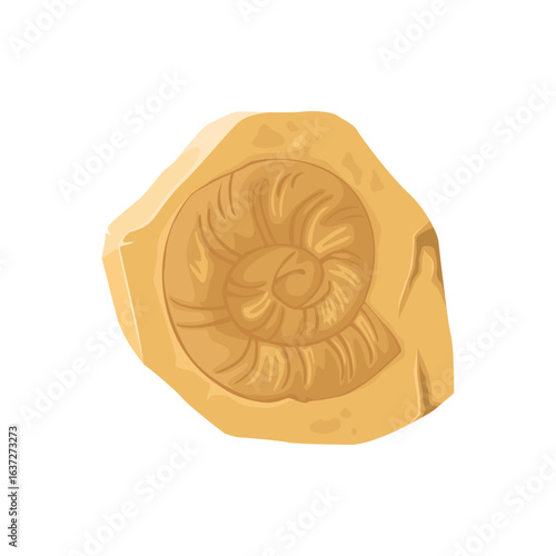 Illustration of a prehistoric ammonite spiral shell fossil in rock