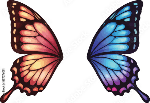 Butterfly Wings Illustration with Contrasting Colors on White Background