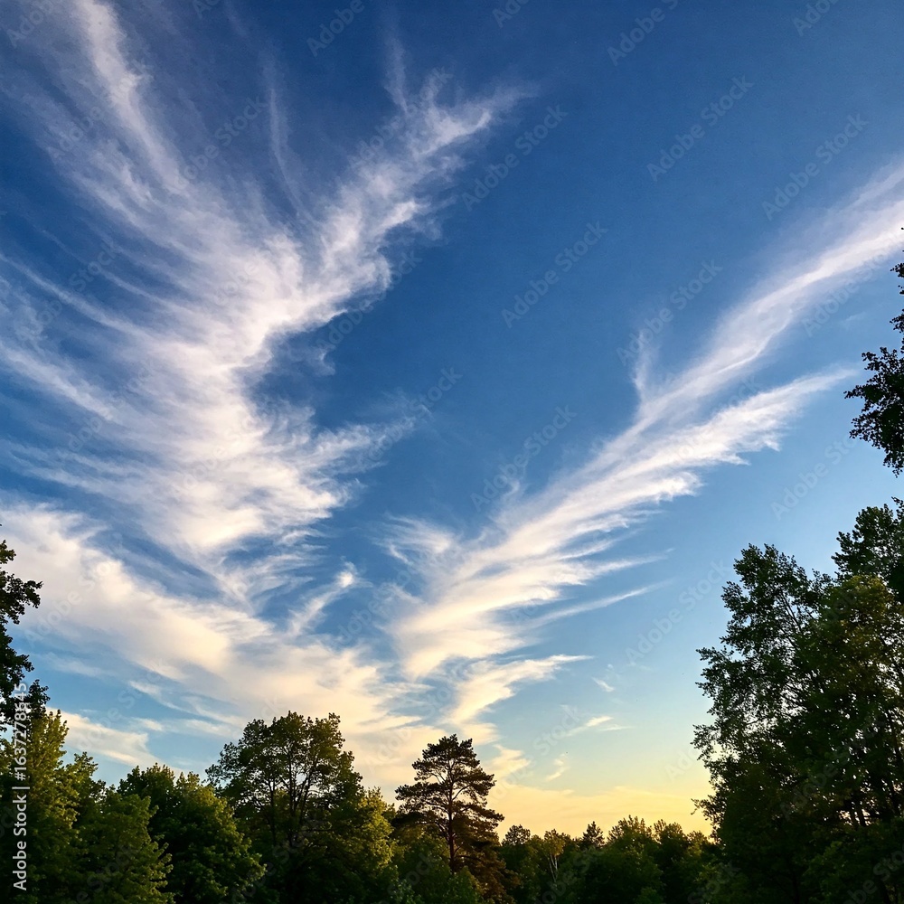 Fototapeta premium Sun light orange clouds on the sky in the forests