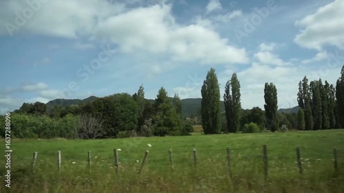 Beautiful views during a road trip on New Zealand's North Island.
