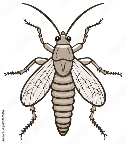 Detailed brown winged insect illustration with long antennae in a comic book art style