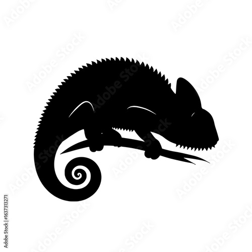 iguana on white background