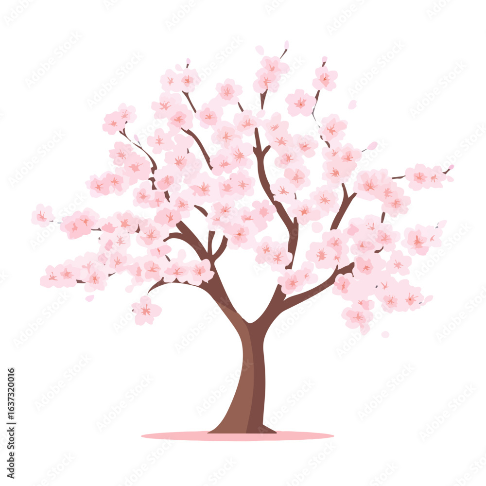 Fototapeta premium Japanese cherry tree,vector