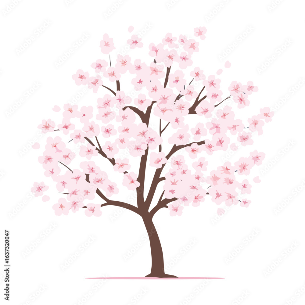 Japanese cherry tree,vector Japanese cherry tree,vector