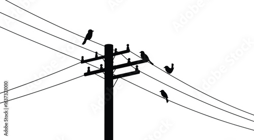 Silhouette of birds sitting on electric power lines and utility pole against white background for nature, balance, and urban wildlife concept