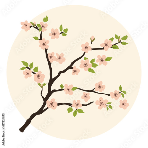 Japanese cherry blossom branches,vector