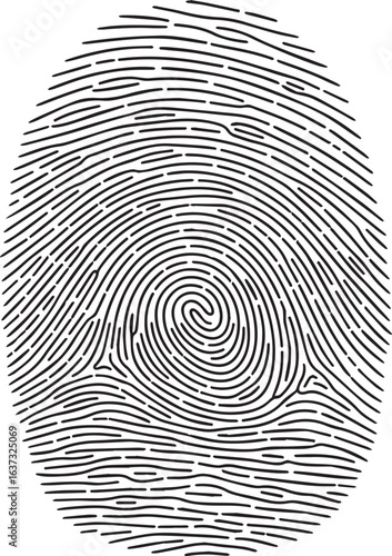 fingerprint on white background | Detailed Fingerprint Vector