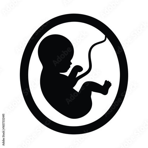 Fetus in womb vector illustration graphic design for pregnancy and childbirth resources and projects