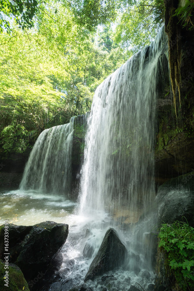 Obraz premium 涼しげな夏の鍋ヶ滝