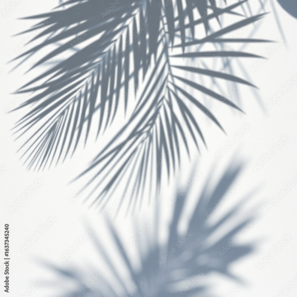 Fototapeta premium shadow palm leaf in the wind blowing overlay on white wall background wall textures