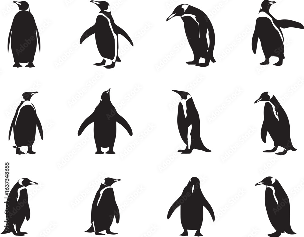 Obraz premium penguin, silhouette, vector, animal, bird, illustration, Print