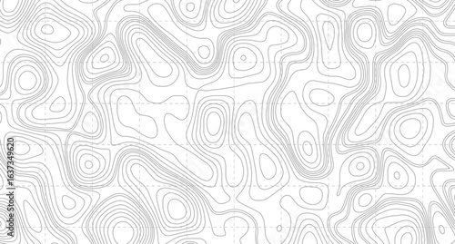 Topographic contour map. similarcartography illustration. Business concept. Fish Fillet Texture, Salmon fillet texture, fish pattern.