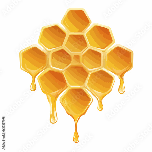 Honey vector diagram, exquisite vector diagram