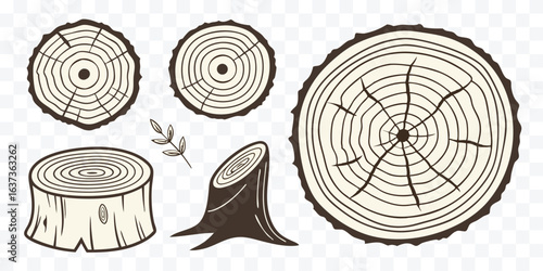 Collection of Tree Stump Illustrations with Age Rings and Detailed Texture Providing a Natural and Rustic Aesthetic for Design Projects