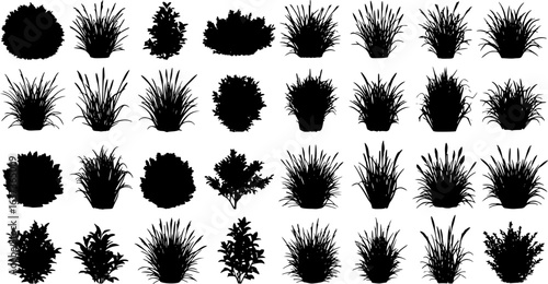 set of bush grass shrub herb silhouette vector transparent background
