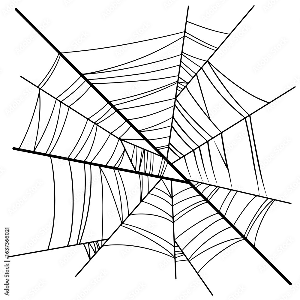 Fototapeta premium Halloween Spider Web