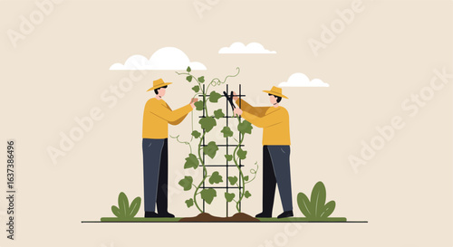 People tending a climbing plant using pruning shears, growing on a trellis frame