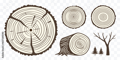 Tree rings and forestry illustration with cross sections of logs and a barren tree depicting growth and age