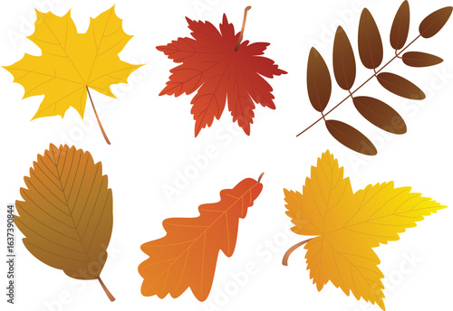 vector autumn leaves