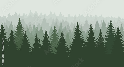 Forest Dense green pine trees layered in misty, moody weather, receding into the distance