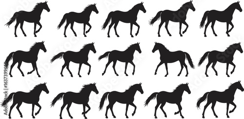 Horse walking silhouette vector sequence, equine motion illustration, black stallion art set, wild horse gait poses, animal step cycle graphic design