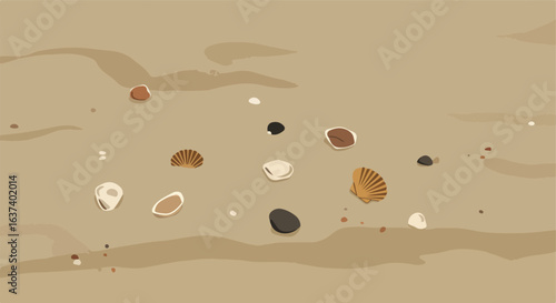 Beachscape Illustration of sand with pebbles, shells, and ripples on light brown