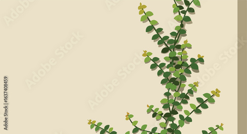Climbing green vine spreads across a beige wall with a bit of wall edge showing
