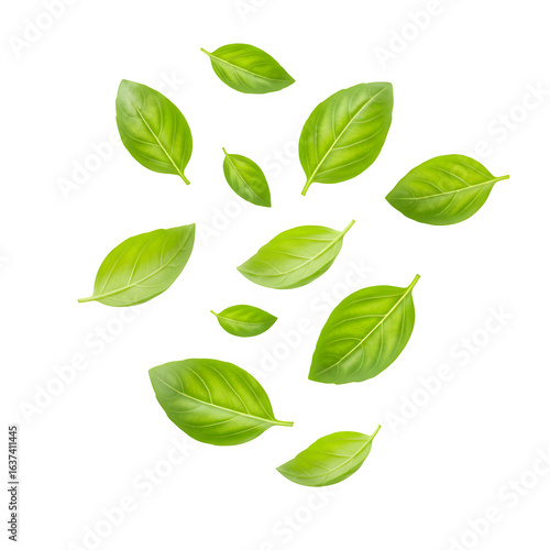 Fresh basil leaves floating in the air, perfect for culinary, herbal, or organic design projects. isolated on white or transparent background. PNG format.