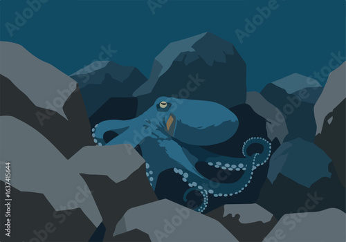 Octopus resting among rocks in deep dark ocean, possibly for marine biology use