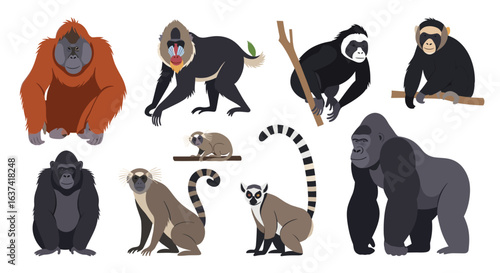 Diverse collection of primate species showcasing various anatomical features and poses in an artistic representation