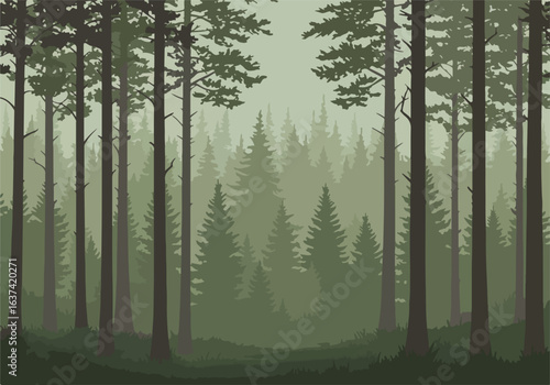 Mist descends behind tall trees within a dark, tranquil forest for use as a wallpaper