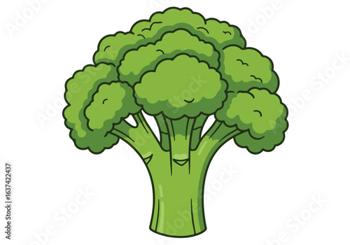 A single head of broccoli, standing tall, used as a food icon, in plain background
