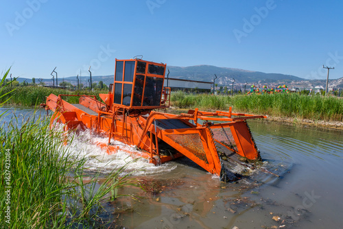 Sea Cleaning, Lake cleaning, River Cleaning
