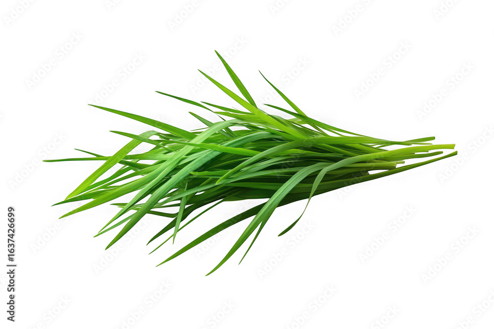 Fototapeta premium Fresh green chives bunch png, culinary herb, cooking ingredient, food photography, aromatic herb, flavorful, healthy eating, isolated on transparent background