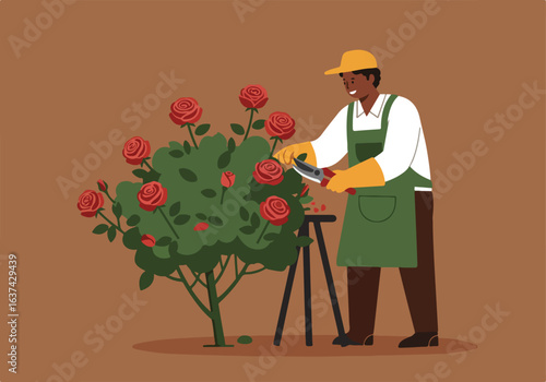 Gardener pruning rose bush in garden setting; brown background; petals dropping