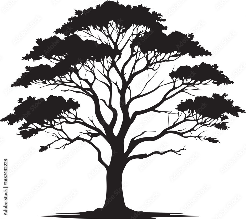 Fototapeta premium tree silhouette Vector | Minimalist & Trendy tree Silhouette Design | Unique & Stylish tree Artwork for Vector design