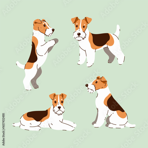 Set of cute fox terrier dogs. Vector graphics.
