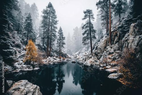 Misty winter forest reflecting on a tranquil lake