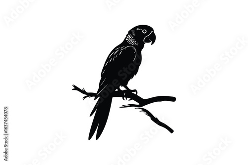 modern professional high quality A black silhouette of a parrot perched on a branch showcasing its detailed beak and expressive feathers in a striking silhouette style