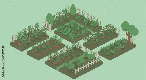 Vegetable garden layout, isometric view. Plants growing, trees in background, diagram use