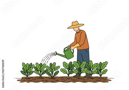 Farmer waters plants with a watering can; isolated use agriculture, gardening