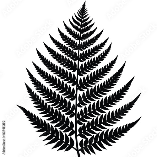 fern-vector-icon-.eps
