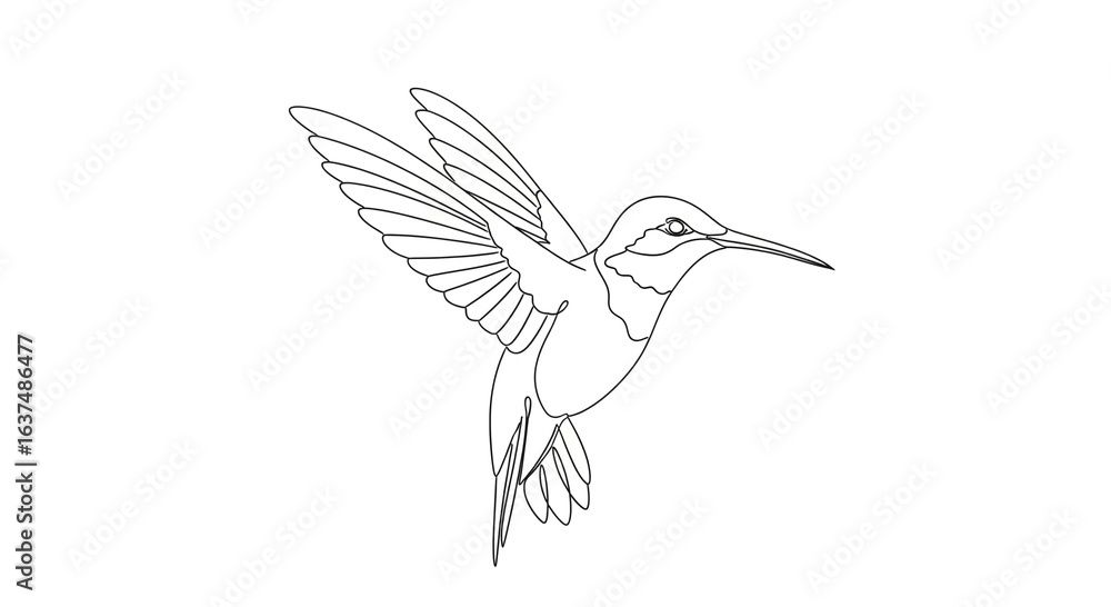 Fototapeta premium A simple black line art illustration of a hummingbird hovering with its wings spread wide.