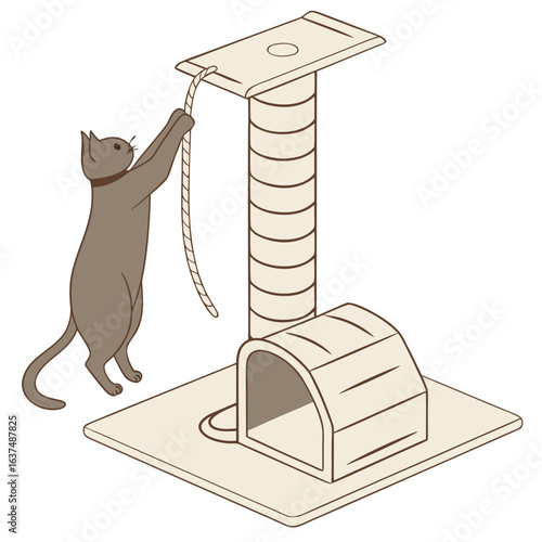 Cat playing with rope on a cat tree with scratching post and condo for pet play, rest, and relaxation in a modern home